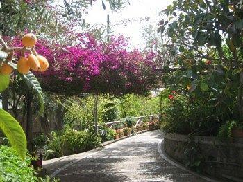 Apartment Kalimera Sorrent