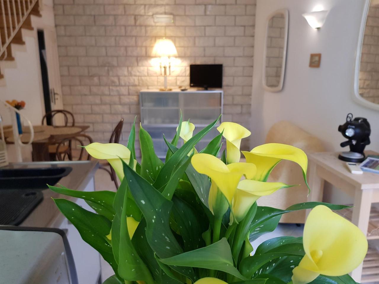 Apartment Kalimera Sorrent